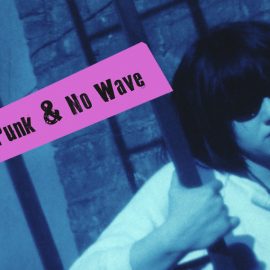 WOMEN IN PUNK & NO WAVE FILM & MUSIC : Saturday 20th January