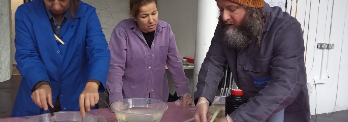 425276578_774994381343123_851369739658393586_n