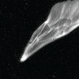 Environmental Arts & Collective Care